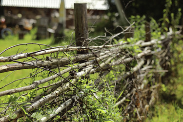 Similar image 10878540