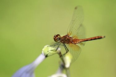 Similar image 10878857