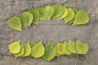 Similar image 10878541