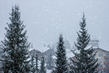 Similar image 10876982