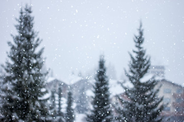 Similar image 10876983