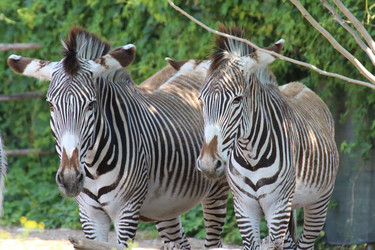 Similar image 10876831