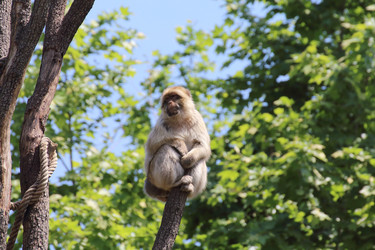 Similar image 10876832