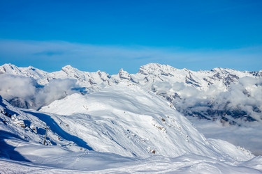 Similar image 10876989