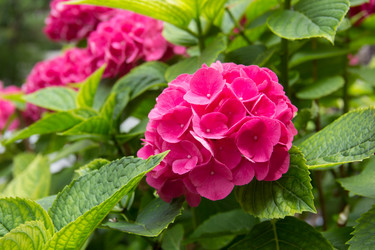 Similar image 10876789