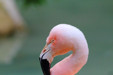 Similar image 10876836