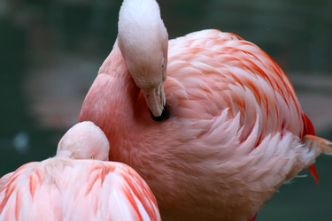 Similar image 10876837