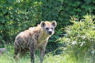 Similar image 10876838