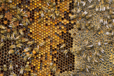 Similar image 10885282