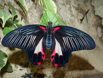 Similar image 10879439