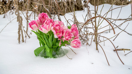 Similar image 10881759