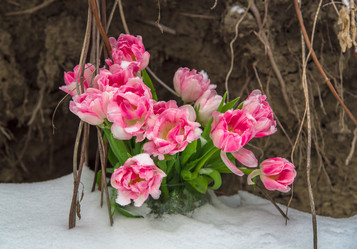 Similar image 10881772