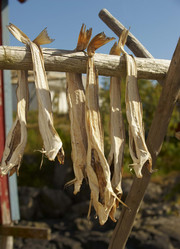 Similar image 10879139