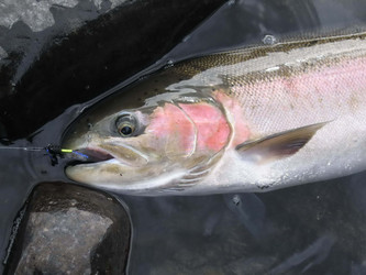 Similar image 10879142