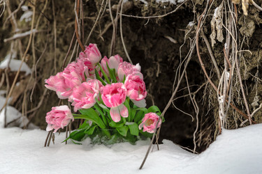 Similar image 10881773