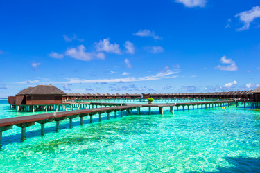 Similar image 10877619