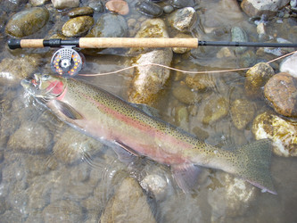 Similar image 10879083