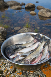 Similar image 10879086