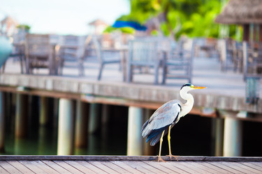 Similar image 10877365