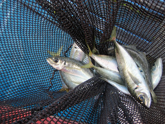 Similar image 10879100