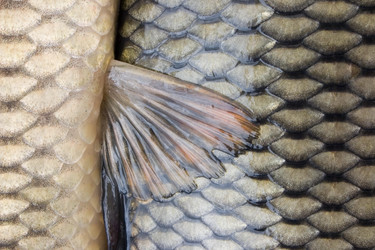 Similar image 10879101