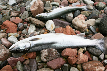 Similar image 10879102