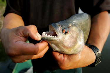 Similar image 10879103