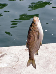 Similar image 10879106