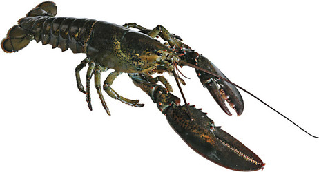 Similar image 10879119