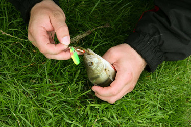 Similar image 10879121