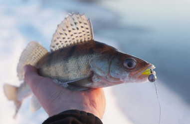 Similar image 10879124