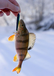 Similar image 10879125