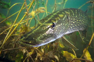 Similar image 10879126