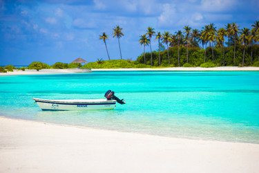 Similar image 10877783