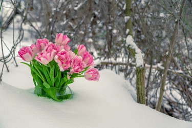 Similar image 10881778