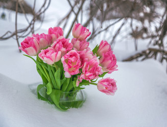 Similar image 10881779