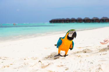 Similar image 10877554