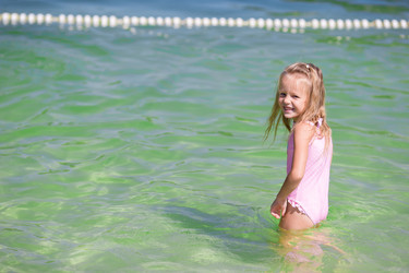 Similar image 10877945