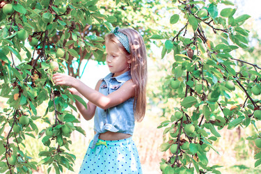 Similar image 10877842