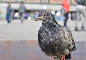 Similar image 10878200