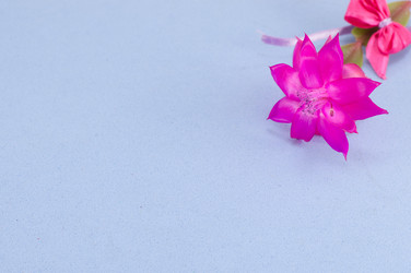 Similar image 10878216