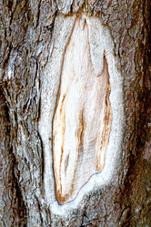 Similar image 10886367