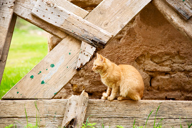 Similar image 10886262