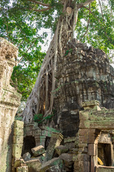 Similar image 10878241