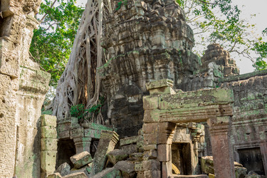 Similar image 10878242