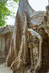 Similar image 10878247