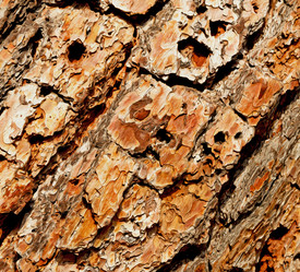 Similar image 10886396