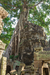 Similar image 10878660