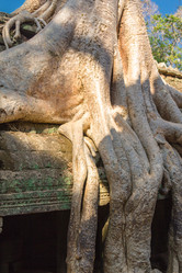 Similar image 10878661