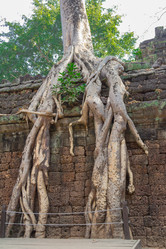 Similar image 10878665